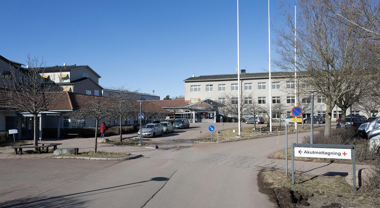 Upphandlingen av ett nytt vårdinformationssystem kommer att bli en dyr historia för det offentliga Åland.