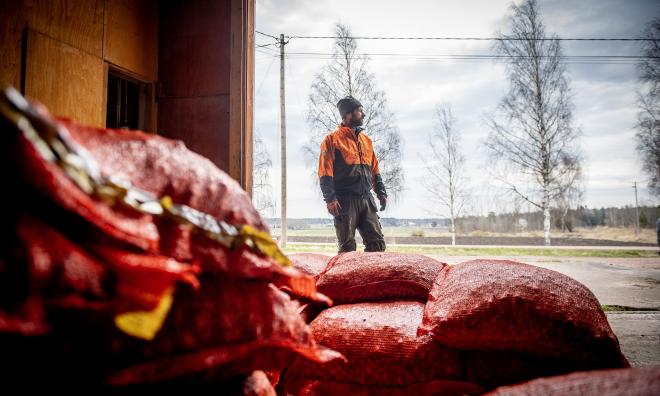 Hos Michael Mattsson i Vestansunda, Jomala ligger stora mängder säckar med lök i väntan på utsättning. Han räknar med bråda dagar i maj, då även spannmål och potatis ska i jorden. 