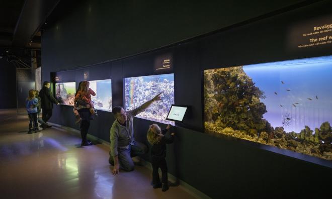 Sjöfartsmuseet Akvariet i Göteborg får utmärkelsen Årets museum. Pressbild.