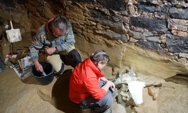 Arkeologen Hannah Parow-Souchon, till höger i bild, arbetar vid utgrävningen i en österrikisk vinkällare.