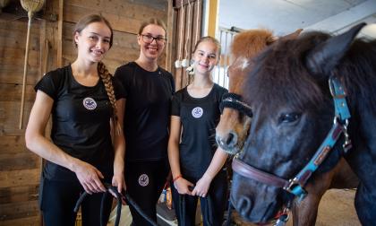 Hästsport, inför NM för islandshästar