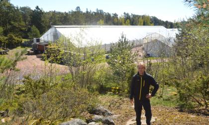 Mikael Lunddell, växthus, Simskäla *** Local Caption *** @Bildtext:I dag odlar Mikael Lundell på 8.500 kvadratmeter under tak. Till sommaren 2016 planerar han en tillbyggnad om 3.000 kvadratmeter.