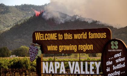 Ett problem i Kalifornien i USA är att skördesäsongen för områdets vinmakare överlappar med brandsäsongen. Arkivbild.