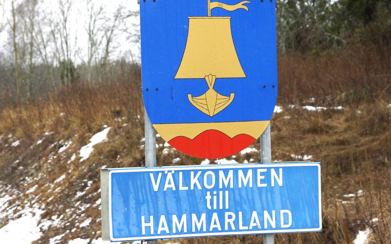 Hammarland.
