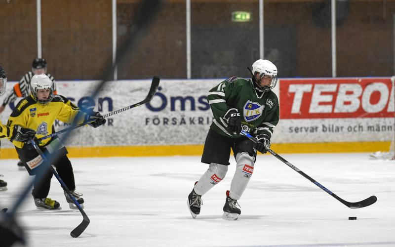 Ishockey, Pauline Aalto