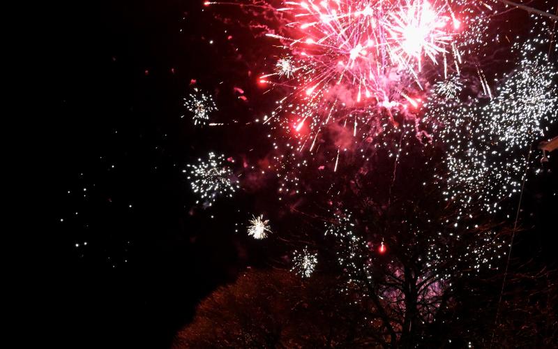 Fyrverkerierna lyste upp himlen på nyårsnatten.