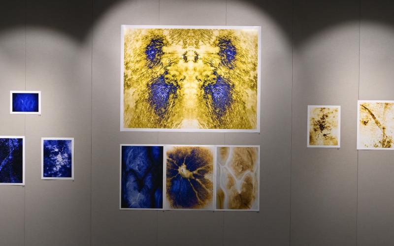 Utställningen är hängd från vänster till höger. Sviten inleds med ett blått tema som vänds och vrids på mot centerpartiets spegelvända och delvis inverterade bilder till avslutningens helt inverterade foton i brunaktiga nyanser.
