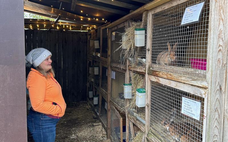 Chris Marins drömmer om att utveckla sin kaninuppfödning och bygga ut med fler burar. Ett 20-tal till är målet.