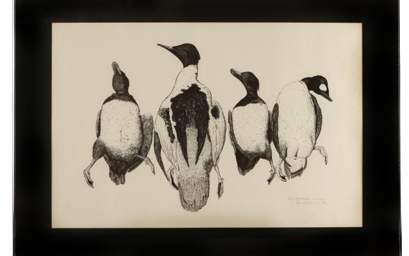 ”Sjöfåglar” (1972) av Henrik Nylund.