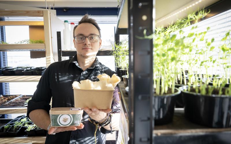 Poppe Mäkäräinen driver det nya företaget Organic Deli tillsammans med Fredrik Hassel. Grönt spirande ärtskott och stora grå ostronskivlingar är två av produkterna som växer i deras kontor på Strandgatan.