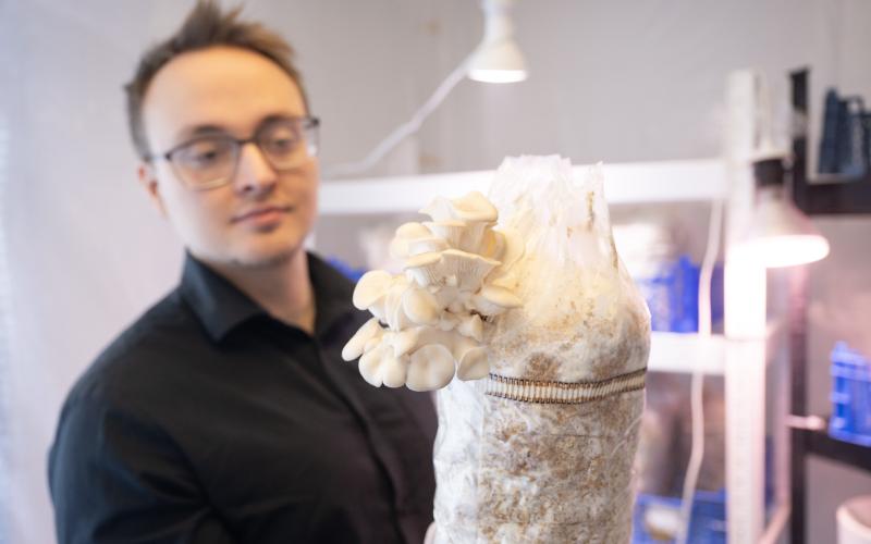 ”Vi är i början av en svampboom”, säger Poppe Mäkäräinen.