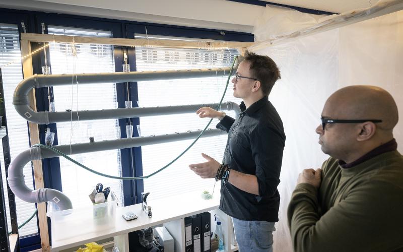 I ett fönster hänger en prototyp för odling av sallad på väldigt liten yta. ”Vi ska skaffa långa rör och göra en betydligt större som vi kan sätta på väggen”, säger Poppe Mäkäräinen.