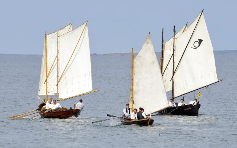 En lätt vind drar fram över sundet när starten går för Postrodden, alla båtar slår upp sina segel och sätter igång att ro.
