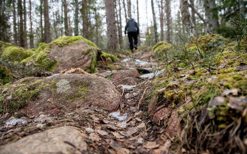 För att ta sig till grottan i Krogstad krävs en promenad genom skogen.