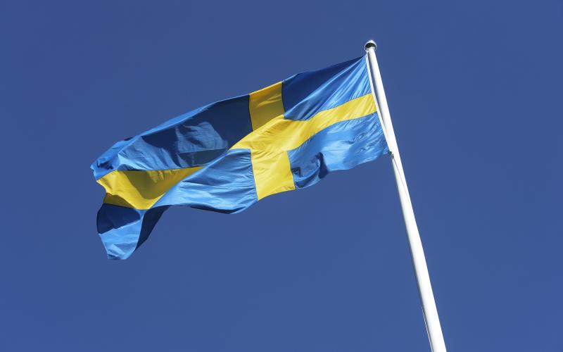 Åländska studenter har i stor utsträckning historiskt sökt sig till svenska universitet och högskolor, men under de senaste åren har antalet minskat.