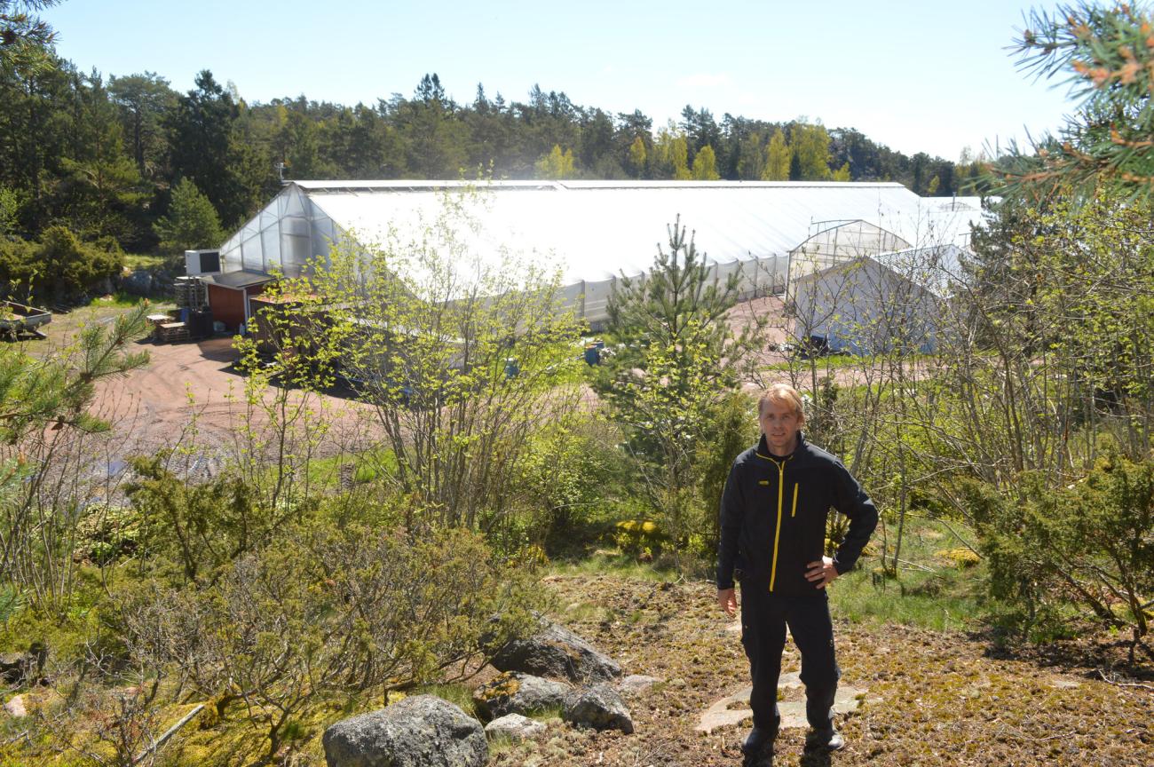 Mikael Lunddell, växthus, Simskäla *** Local Caption *** @Bildtext:I dag odlar Mikael Lundell på 8.500 kvadratmeter under tak. Till sommaren 2016 planerar han en tillbyggnad om 3.000 kvadratmeter.
