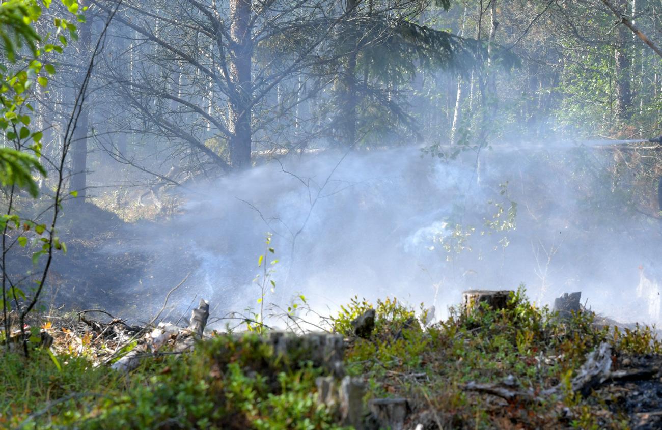 Räddningsledare Henrik Olofsson tror att branden orsakades av ett blixtnedslag som antänt ett träd.  